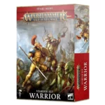 Warhammer Age of Sigmar: Warrior Starter Set